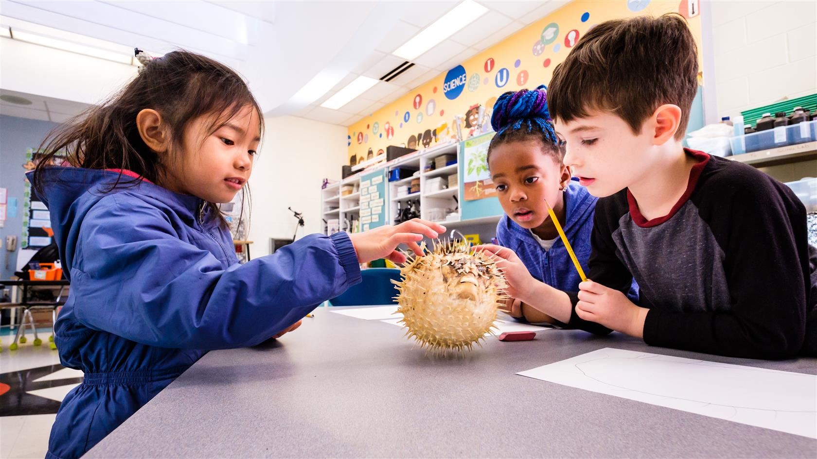 millbrook es students in science class
